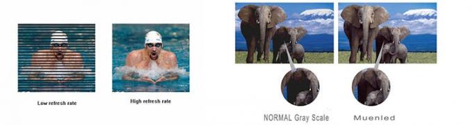 telas de exposi&ccedil;&atilde;o conduzidas 7